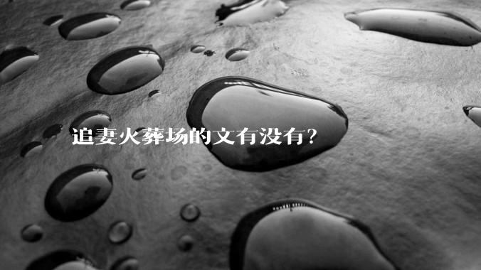 追妻火葬场的文有没有？