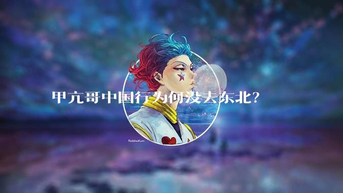 甲亢哥中国行为何没去东北？