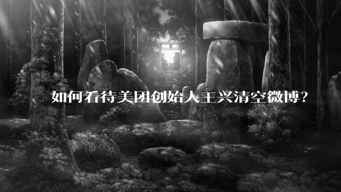 如何看待美团创始人王兴清空微博？