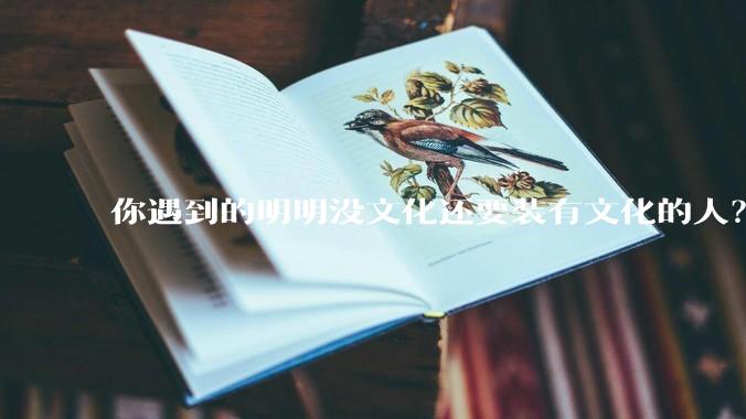 你遇到的明明没文化还要装有文化的人？